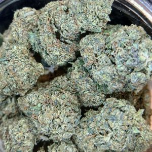 apricot-gelato-flower-maryland