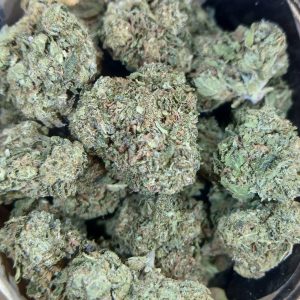 Bubblegum-Flower-Maryland