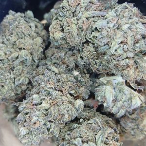 Grease Monkey