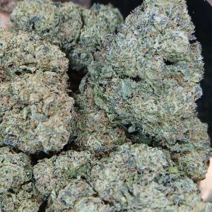 Mint Chocolate Chip
