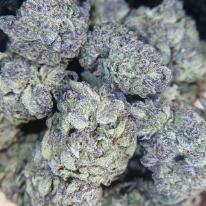 Purple-Octane-Flower