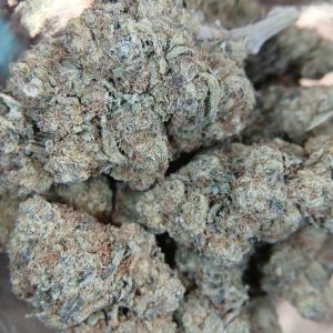 Purple Punch