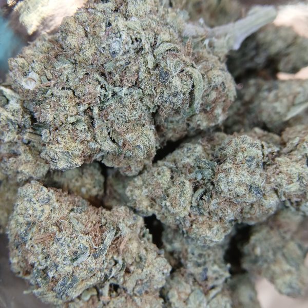 Purple Punch