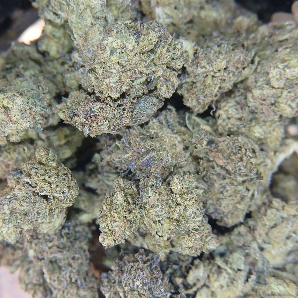 Black Cherry Bliss