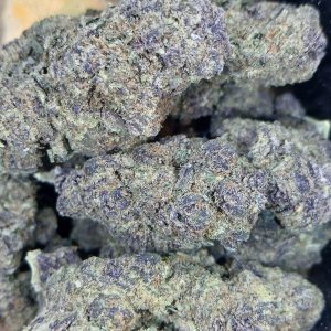 Purple-Pineapple-Flower-Maryland