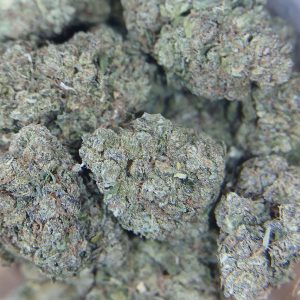 Sweet Cream