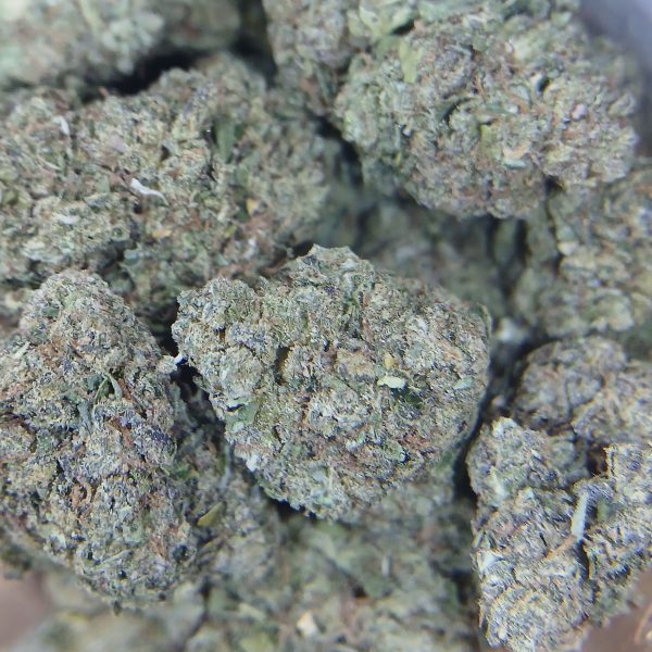 Sweet Cream