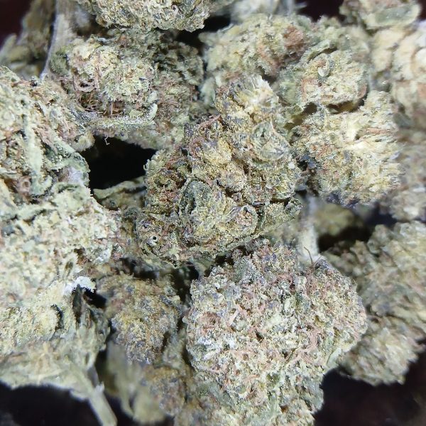 Indigo Berry