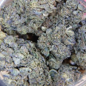 Purple Sherbet