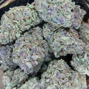 super-boof-flower-maryland