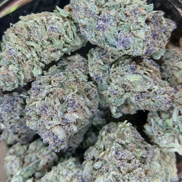 super-boof-flower-maryland