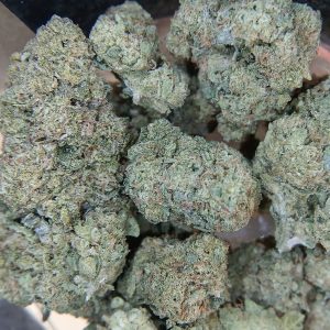 Zoap-Flower-Maryland