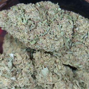 Cherry-Pie-Flower-Maryland