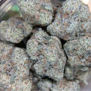 Iced Widow