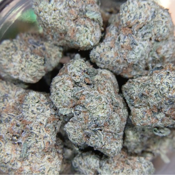 Iced Widow