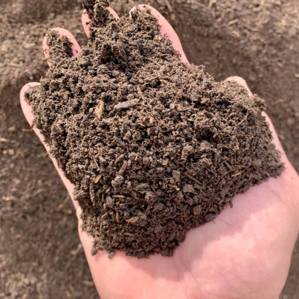 Mushroom Compost