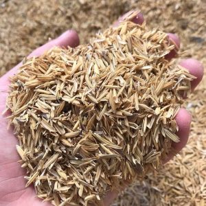 Rice Hulls