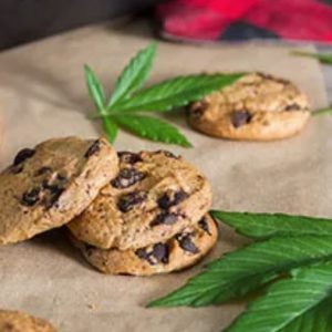 Holiday Cookie Boxes *PRE-ORDER*