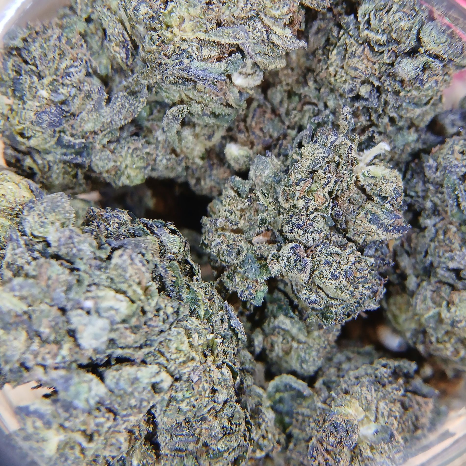 Purple Sherbert