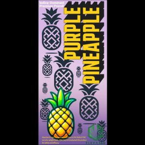 Purple Pineapple 1g Pre Roll