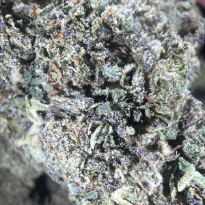 Peanut Butter Breath