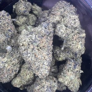 Gelato Punch (Larry Lato)